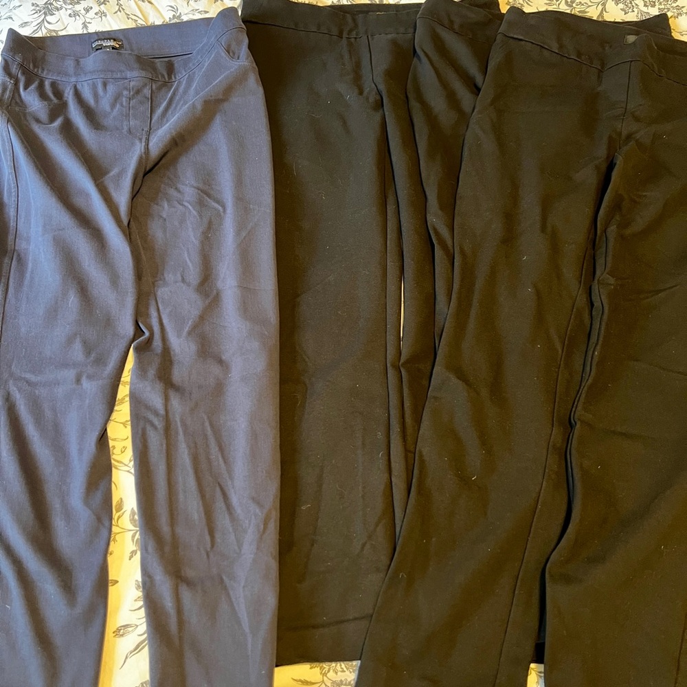 Sunice and dalia office pant lot